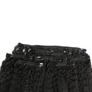 Virgin Mongolian Kinky Striaght Clips In
