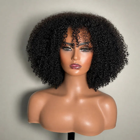 Ivy Kinky Curly HD Lace Wig Stylish Look For Hair Styling